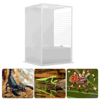 Los Insectos Villa Caja De Acrílico De Cría En El Caso De Los Insectos Contenedor De Reptiles Araña Observación Mini Animales De Plástico